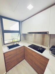 Blossom Residences (D23), Condominium #563473211